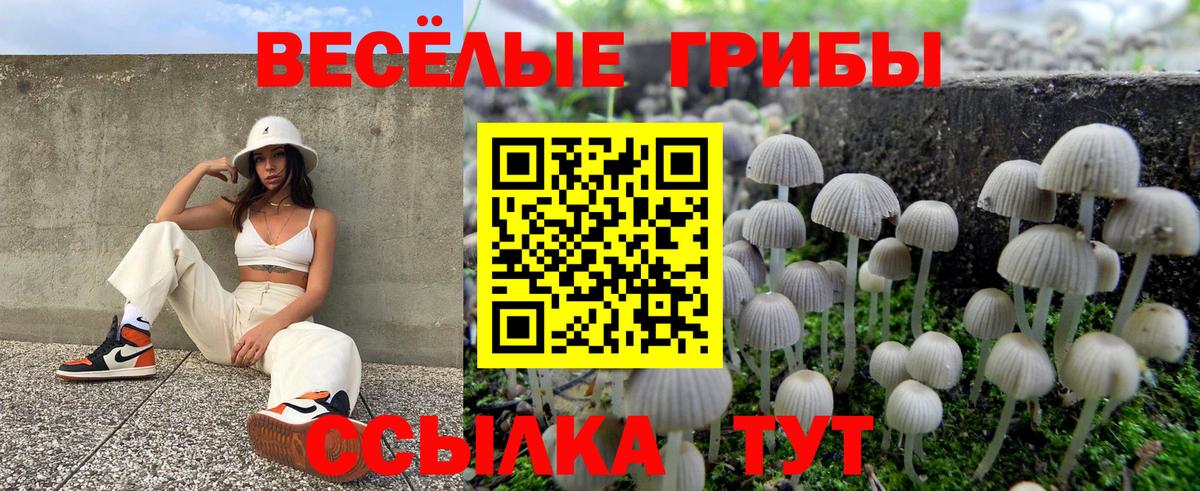 Псилоцибиновые грибы мухоморы  Вход с VPN  Малгобек  Галлюциногенные грибы Cubensis 