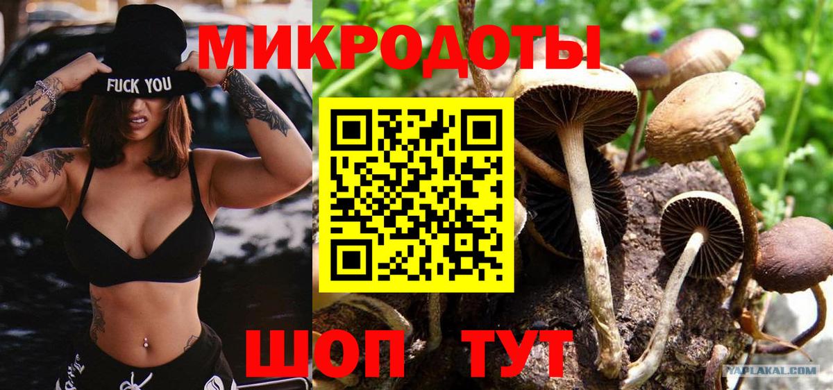 Галлюциногенные грибы MAGIC MUSHROOMS Малгобек